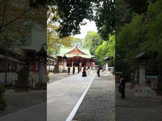 Shichi-Go-San (七五三, lit. 'seven-five-three') is a traditional Japanese rite of passage and festival.