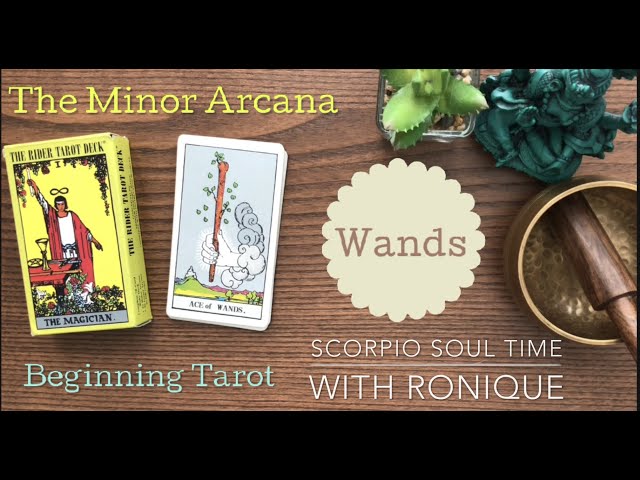 Beginning Tarot - Minor Arcana - Wands Meaning - Scorpio Soul Time with Ronique