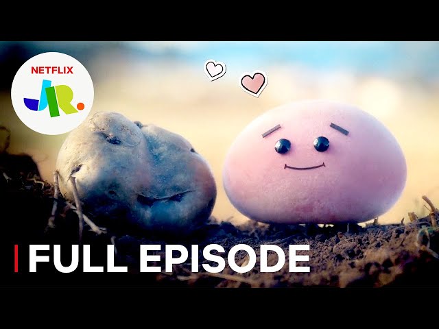 Waffles + Mochi  "Potato"  Full Episode | Netflix Jr