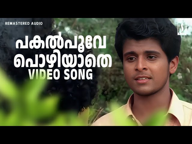 Pakal Poove Pozhiyathe Song | Chronic Bachelor | KJ Yesudas | Renuka Girijan | Deepak Dev Hits