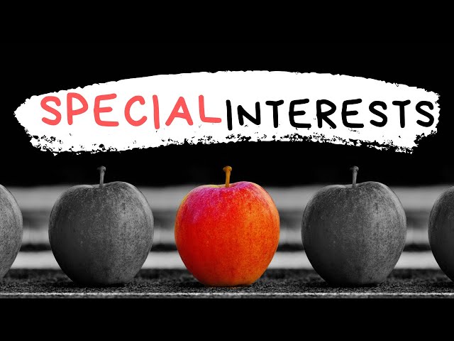 What Are Special Interests? - The Autistic Obsession