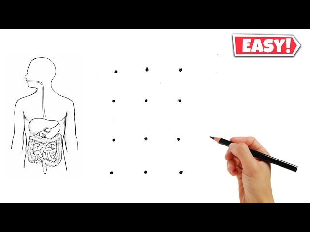 12 dots की मदद से human digestive system diagram class 10 // માનવ પાચન તંત્રનું ચિત્ર