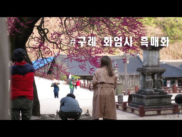 t is a temple with the most beautiful spring scenery in Korea.