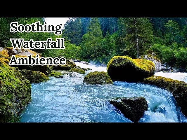 Forest Waterfall Sounds | Soothing Flowing Water and Nature Ambience for Deep Relaxation