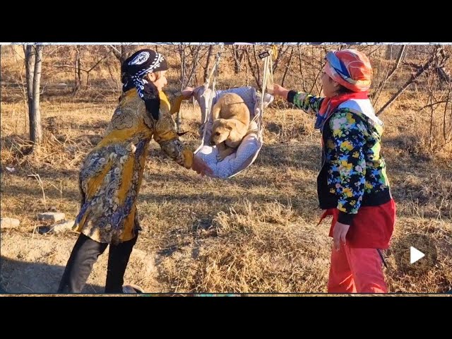 Rural life in Iran: cooking amazing food and girls' amazing swinging in rural life