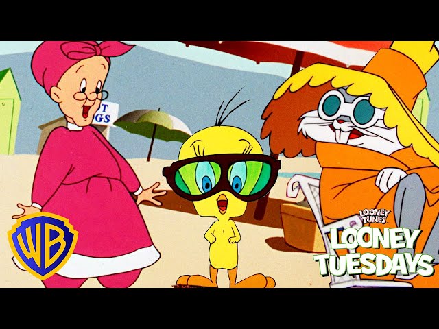 Looney Tuesdays | Fun In The Sun ☀️ | @wbkids​