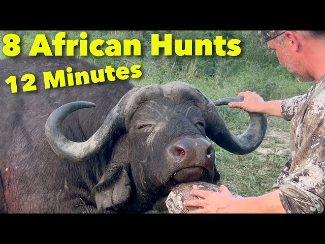 8 African Rifle Hunts in 12 Min | HUNT Cape Buffalo Eland Kudu Nyala Giraffe  Gemsbok Zebra Impala