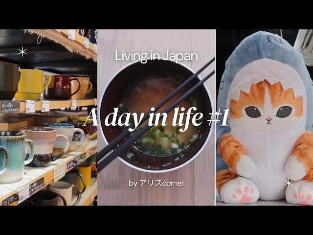 Day in life #1 | Living in Japan | Asakusa, Kappabashi st, and Ueno Park