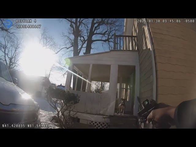 Maple Heights police release body camera video after officer shoots pit bull