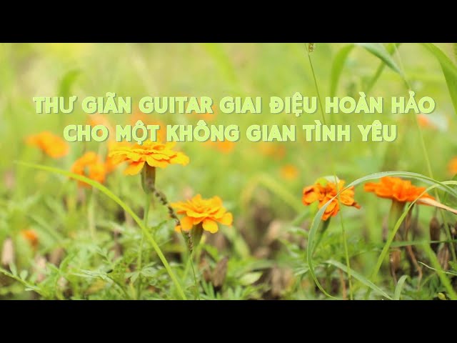 Nhạc Thư Giãn Đàn Guitar - Tình Khúc Bất Hủ - Đưa Bạn Đến Không Gian Yên Bình Vol 14