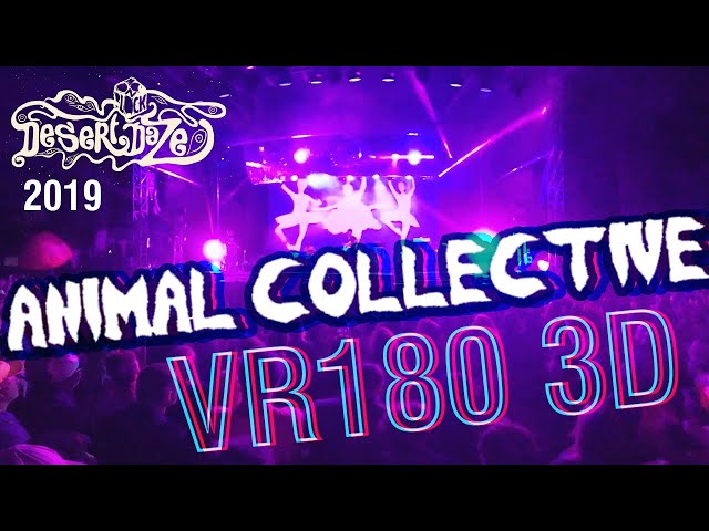 Animal Collective Live in 3D VR180 @ Desert Daze 2019