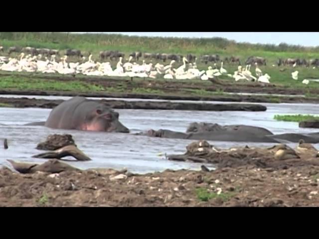 Lake Manyara