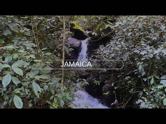 Relaxing river sound  | 📍#Jamaica #river #nature #relaxing #sleep #bedtime #anxiety  #calm