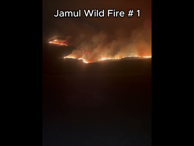 San Diego Wild Fire # 1 #wildlife #jamulwildfire