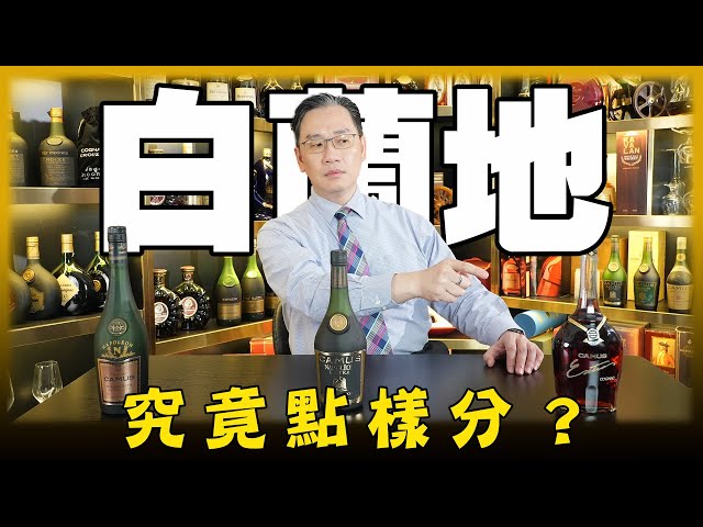 咩係XO？ VSOP又係邊位？干邑，白蘭地究竟點樣分？【痴筋樓品酒101】潮、搗、飲、吹｜彭偉新 2024-05-11