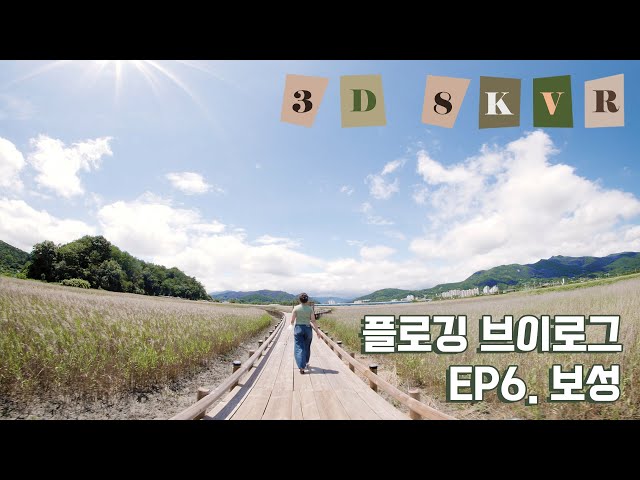 보성 중도방죽을 가보았습니다! 플로깅 여행 캠핑 브이로그! | 8K VR 180 Vlog | 빛나는꾸꾸