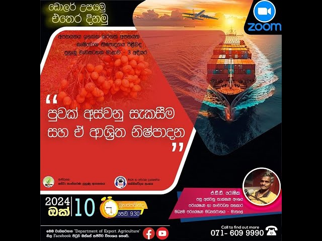 පුවක් අස්වනු සැකසීම සහ ඒ ආශ්‍රිත නිෂ්පාදන