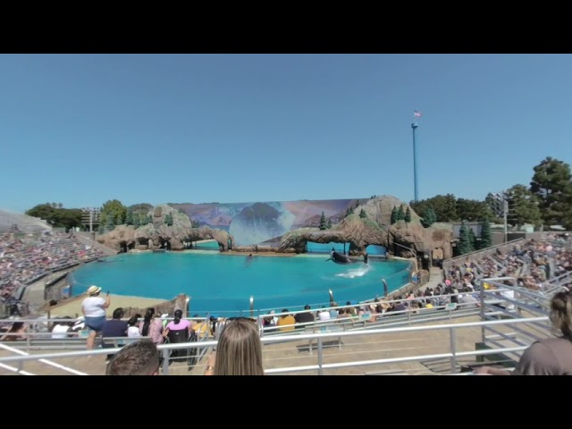 VR180 - SeaWorld San Diego Zoo Days: BBQ & Brews - Orca Show - Saturday 19th 2020 (3/3)