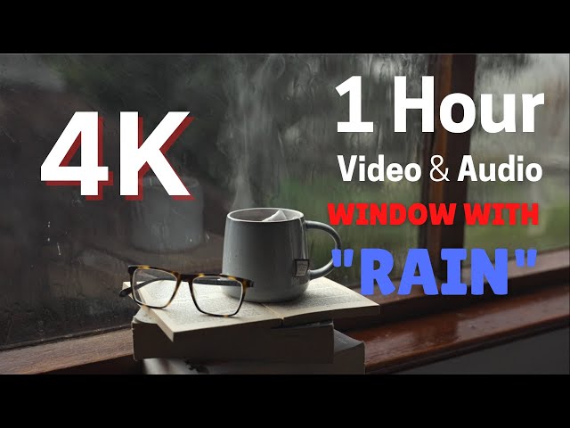 4K 1 hour | Tropical Storm Window with Rain & Thunder   relaxation, meditation, nature