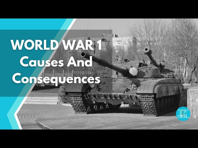 The Origins and Outcomes of World War 1