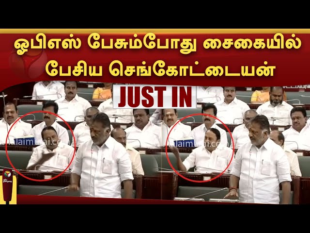 #live: ஓபிஎஸ் பேசும்போது சைகையில் பேசிய செங்கோட்டையன் |PTTV