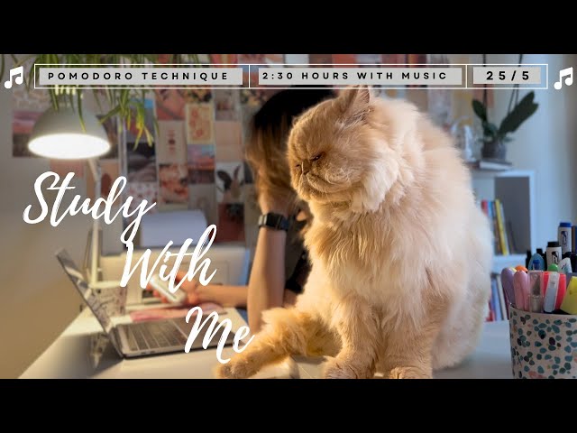 2.5-Hour Study with Me & My Sleepy Cat | Pomodoro Timer, Piano Music l Countdown+Alarm