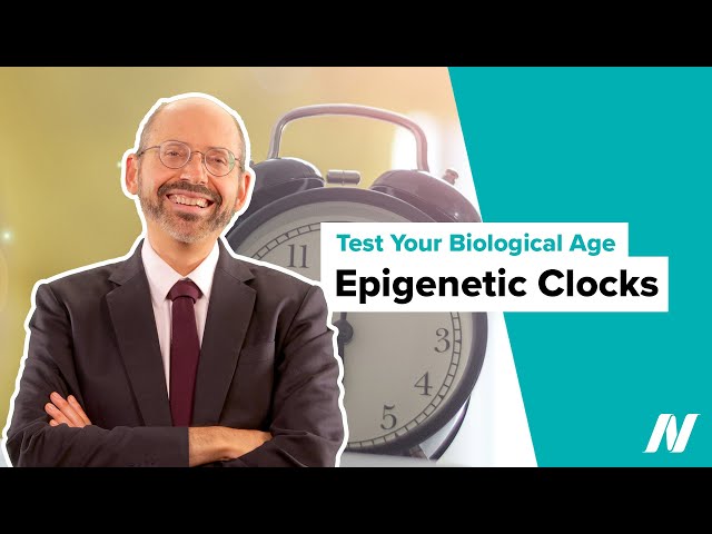 Epigenetic Clocks for Testing Your Biological Age