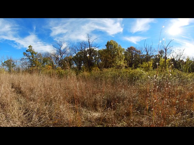 Sunny Autumn Day - 360 VR Video - One Long Shot