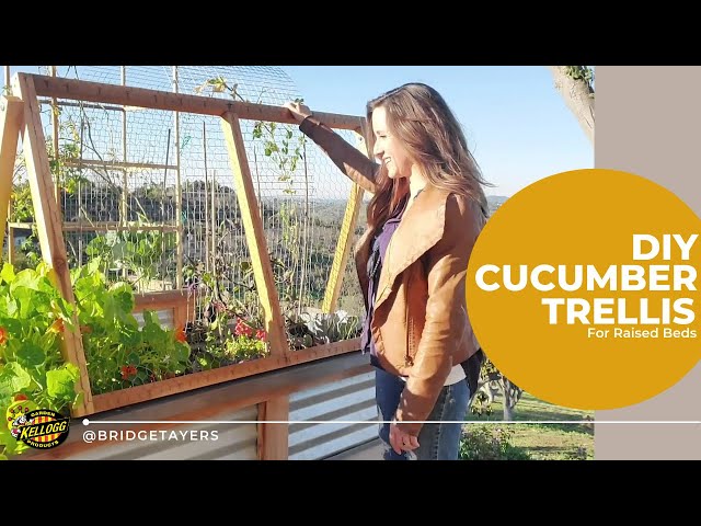 How To Build a Cucumber Trellis for Raised Beds