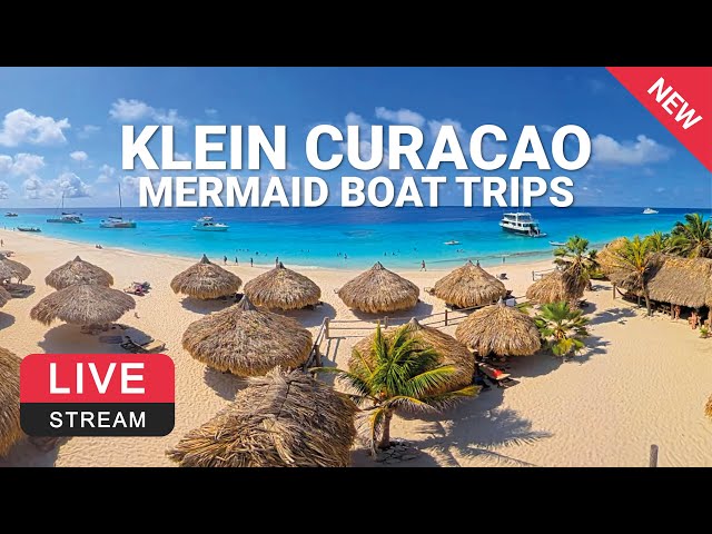 Klein Curaçao | Mermaid Boat Trips 🌴💦☀️ LIVE CAM