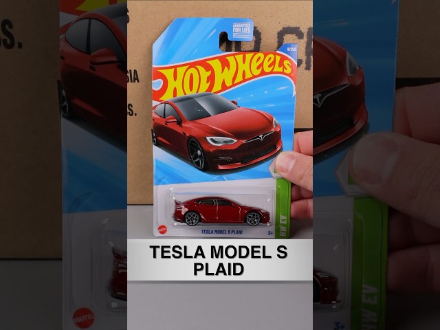 Winner of 2025 Hot Wheels A Case