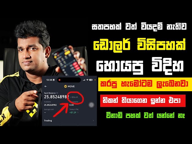 online job sinhala - online job at home sinhala - E money sinhala - online salli hoyana karama