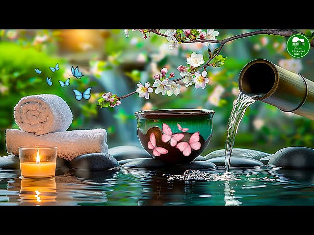 Healing Sleep Music 🌿 Eliminate Stress, Meditation Music, Bamboo, Calming Music, Relax, Water Sounds