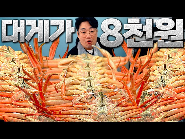 당일 잡아온 대게가 8천원 이라고? 말이 안되는 집 소개해드립니다.