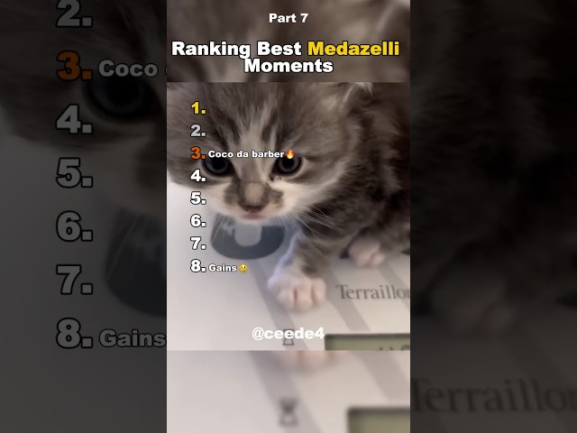 Funniest Medazelli🤣#ranking #medazelli #tiktok