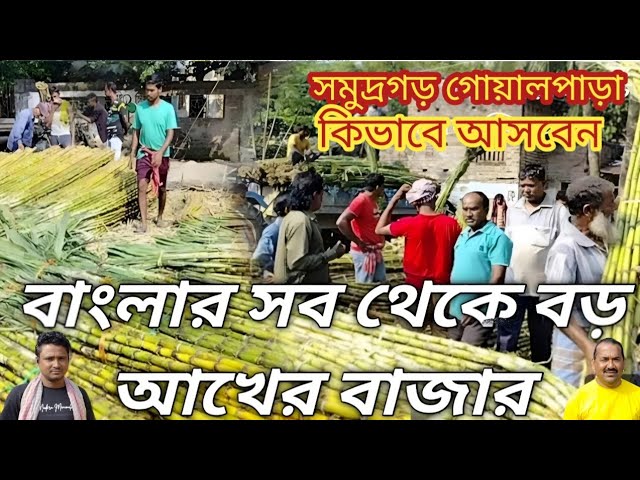 পশ্চিমবঙ্গের সব থেকে বড় আখের বাজার।। সমুদ্রগড়ের গোয়ালপাড়ায়।। পাইকারি বাজার