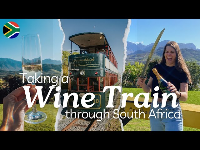 I took a WINE TRAIN through South Africa 🇿🇦