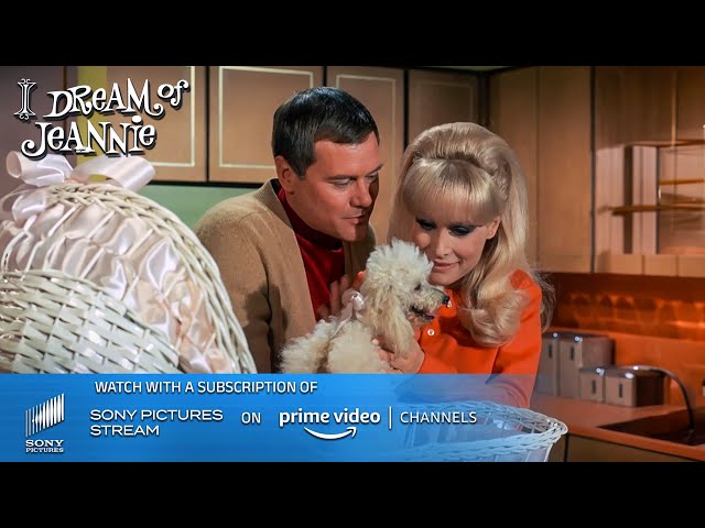 A surprise baby shower for Jeannie | I Dream of Jeannie – TV Show | Sony Pictures – Stream