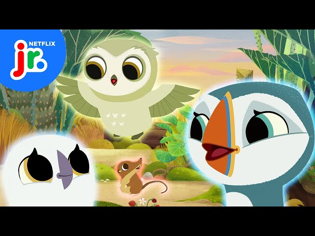 Adventures with Oona, Baba, & Friends! 🐧 🌈 Puffin Rock | Netflix Jr