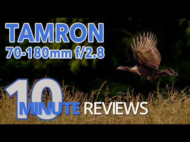 Traveling light with the Tamron 70-180mm f/2.8 Di III - Lens Review