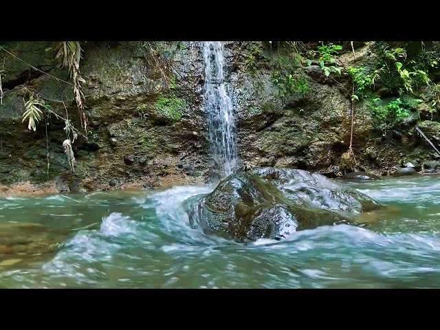 Relaxing River Sounds with Gentle Waterfall | Soothing Nature Ambience for Sleep & Meditation