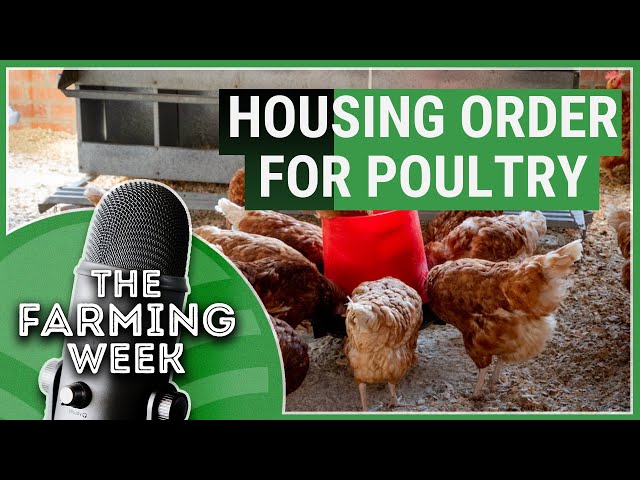 BISS 2025 Applications Open | Housing Order for Poultry | The Farming Week Podcast