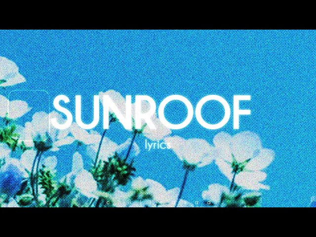 Nicky Youre, dazy - Sunroof (Lyrics)