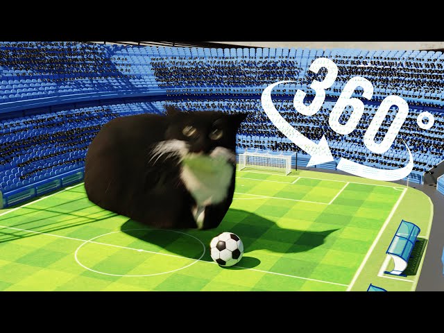 Maxwell The Cat 360° - Football | VR/360° Experience