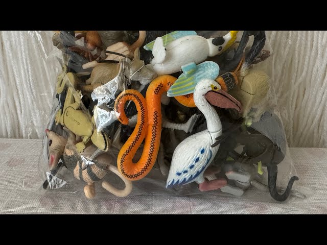 Yowie Australian Animals Wildlife Mixed Lot1 ASMR unboxing collectible