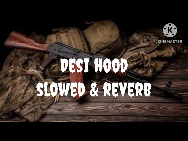 Desi hood slowed & reverb song