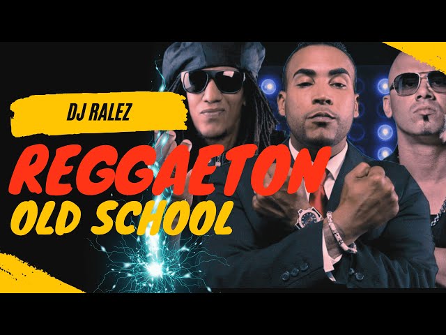 🔥REGGAETON OLD SCHOOL Mix Vol. 4 🎧 Los MEJORES CLASICOS de Daddy Yankee, Don Omar, Tego Calderón🔥