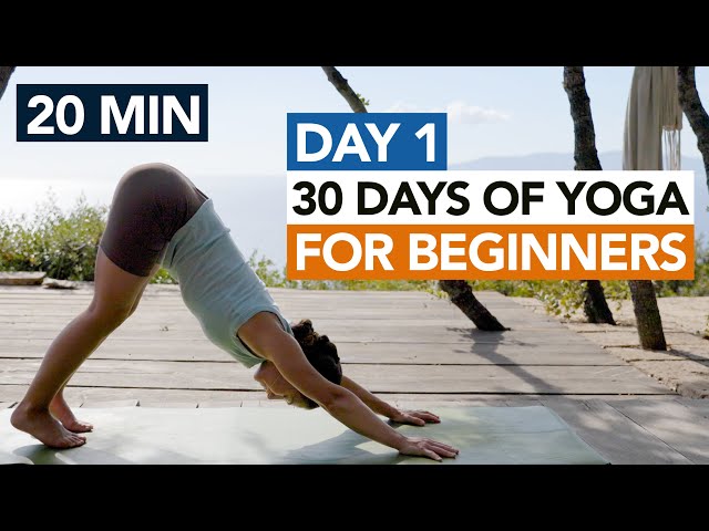 20 Min Beginner Yoga Routine (Day 1) 30 Days of Yoga For Beginners