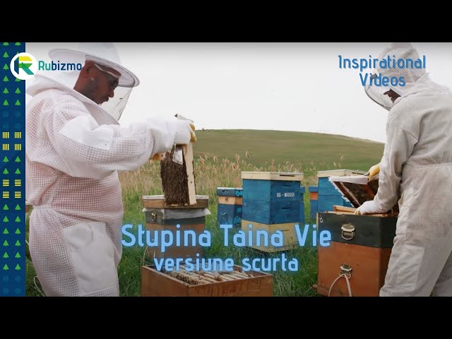 Când tradiția și inovația se întâlnesc: Taina Vie (versiune scurta)