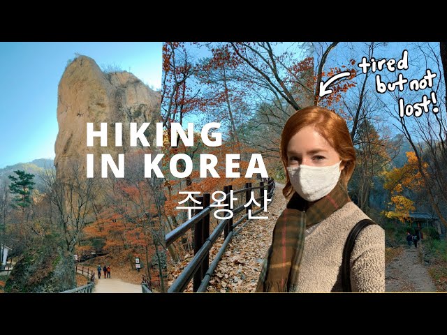 Life in Korea VLOG | Falling in Love with Cheongsong and Hiking Juwangsan